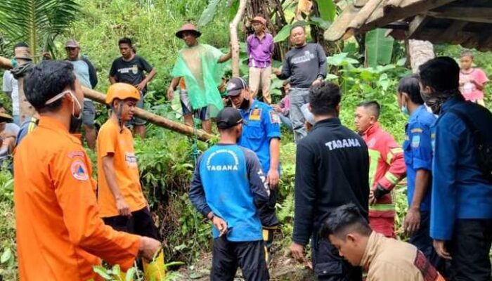 Heboh, Seekor Sapi Ditemukan Mati Setelah Terperosok Sumur Tua