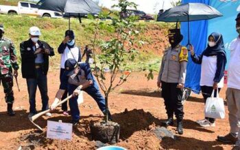 Peringati Hari Air Sedunia, Bendungan Leuwikeris Ditanami Pohon