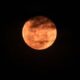 KOTA TASIKMALAYA (CM) - Fenomena Pink Moon atau supermoon alias bulan purnama penuh menghiasi langit dunia semalam, tidak terkecuali di Indonesia, Selasa (27/04/2021). Pemandangan menakjubkan bulan purnama yang tampak lebih besar dan lebih cerah dari biasanya ini dapat kita saksikan selama 3 hari dimulai dari kemarin sampai hari Jumat 29/04. Lembaga Antariksa dan Penerbangan Nasional (Lapan), fenomena yang disebut sebagai Supermoon lantaran jaraknya yang cukup berdekatan dengan titik perige. Perige adalah istilah untuk menyebutkan kondisi bulan ketika berada pada titik terdekat terhadap bumi. Adapun Pink Moon, melansir NASA, penyebutan ini diberikan oleh suku Indian, penghuni asli kawasan Amerika Utara, yang menamai bulan purnama di bulan April sebagai Pink Moon. Hal ini karena kemunculan bulan purnama tersebut bertepatan dengan waktu tumbuhnya tanaman moss pink atau dikenal juga mountain phlox, yang merupakan tanaman dari Amerika Utara bagian timur. Disampaikan Gordon Johnston, ilmuwan dan pejabat eksekutif NASA, supermoon pada tahun 2021 ini akan terjadi pada bulan April dan Mei. "Beberapa publikasi menggunakan ambang yang sedikit berbeda untuk memutuskan Bulan purnama mana yang memenuhi syarat sebagai supermoon. Namun untuk tahun 2021 semua sepakat bahwa dua bulan purnama di bulan April dan Mei adalah supermoon," katanya. Bulan purnama ini juga memiliki nama lain yang diberikan suku pesisir Amerika Utara, di antaranya adalah Bulan Ikan karena waktu kemunculan bulan tersebut adalah saat bagi ikan berenang ke hulu untuk bertelur. Pink Moon tidak benar-benar berwarna merah muda seperti julukannya. Akan tetapi, jika bulan diamati dari suatu tempat di mana ada polusi di udara, maka warna bulan bisa menjadi lebih kemerahan. Horner mengatakan, Supermoon sebenarnya hanya sekitar 15 lebih besar dan lebih terang dari bulan purnama biasa. (red)