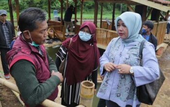 Komisi II DPRD Jabar Dorong Peningkatan Kewenangan Balai Benih