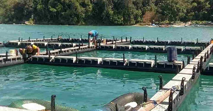 8 Jenis Budidaya Komoditas Air Payau di Pangandaran yang Menjanjikan