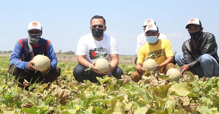 Anggota DPRD Jabar Fasilitasi Petani Milineal Budidayakan Melon