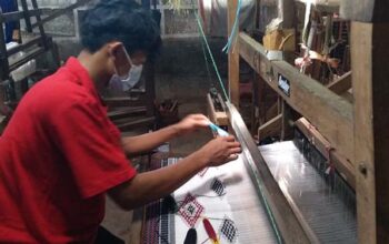 Double Untung Petani Ulat Sutra Dalam Raih Cuan