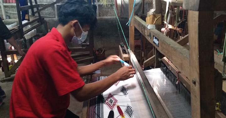 Double Untung Petani Ulat Sutra Dalam Raih Cuan