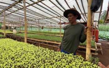 Kelompok Tani Lapangsari Dorong Warga Untuk Bertani Dengan Menjual Bibit Yang Murah