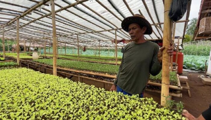 Kelompok Tani Lapangsari Dorong Warga Untuk Bertani Dengan Menjual Bibit Yang Murah