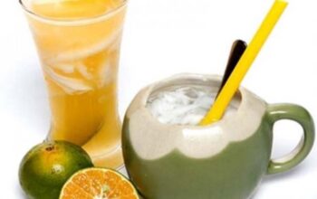 Variasi Segar Buka Puasa dengan Air Kelapa Muda