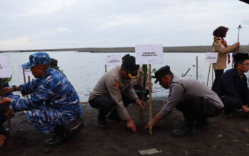 Sinergi Polres Tasikmalaya dan Forkopimda; Penanaman Mangrove di Pantai Cidadap