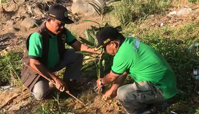 Aksi Inspiratif Wanapala Tasikmalaya & CDK VI Jawa Barat dalam Menanamkan Asa Lingkungan