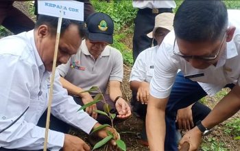 Pangangonan Hill,  500 Pohon Durian dan Alpukat Ditanam untuk Kelestarian Alam