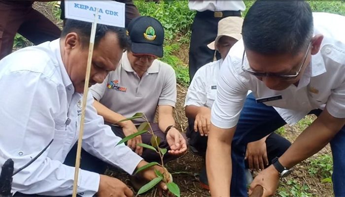 Pangangonan Hill,  500 Pohon Durian dan Alpukat Ditanam untuk Kelestarian Alam