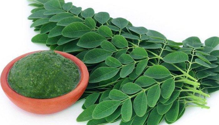 5 Tanaman Berkhasiat Menurunkan Kadar Gula Darah