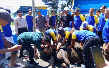 Jelang Hari Raya Idul Adha, Anggota DPRD dan DKP3 Paparkan Syarat Sembelih Hewan Kurban