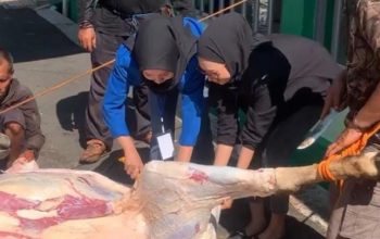 Mahasiswa KKN STIA YPPT PRIATIM Tasikmalaya Berpartisipasi Aktif dalam Perayaan Idul Adha