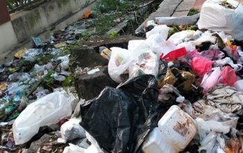 Hari Lingkungan Hidup Sedunia, Republik Aer Perkuat Komitmen Pelestarian Lingkungan