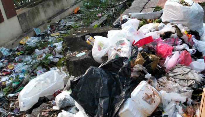 Hari Lingkungan Hidup Sedunia, Republik Aer Perkuat Komitmen Pelestarian Lingkungan