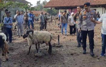 Pastikan Kelengkapan dan Kesehatan Hewan Qurban, Polres Tasikmalaya Gelar Sidak