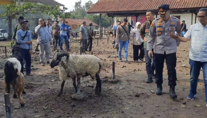 Pastikan Kelengkapan dan Kesehatan Hewan Qurban, Polres Tasikmalaya Gelar Sidak