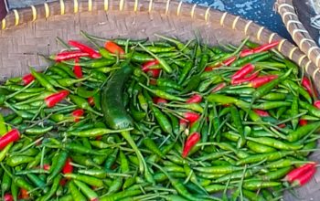 Harga Cabai Melonjak Tajam di Kota Tasikmalaya, Warga dan Pedagang Resah