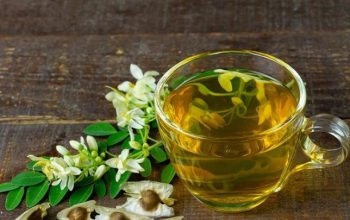 Rutin Minum Teh Daun Kelor, Apakah Aman dan Apa Saja Manfaatnya?