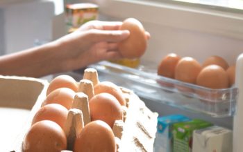 Rahasia Telur Awet, Tips dan Trik Agar Telur Tahan Lama