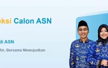Siap Jadi CPNS 2024? Inilah Panduan Lengkap untuk Mewujudkan Impian Anda!