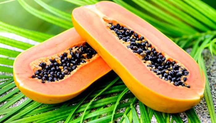 Rahasia Sehat dari Pepaya, Konsumsi Setiap Hari, Manfaat Luar Biasa Menanti