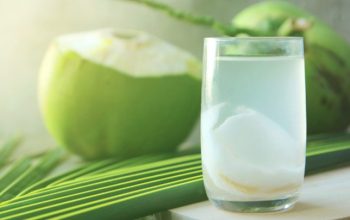 Rahasia Waktu Terbaik Minum Air Kelapa untuk Manfaat Kesehatan Maksimal