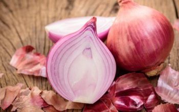 Rahasia Kesehatan Bawang Merah Mentah, Manfaat Ajaib yang Belum Banyak Diketahui!