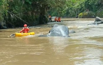 Bocah 11 Tahun Hilang Terseret Arus Saat Bermain di Sungai Citanduy