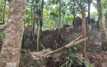 Hujan Lebat Sebabkan Longsor di Kampung Naga, Warung Ambruk dan Akses Terputus