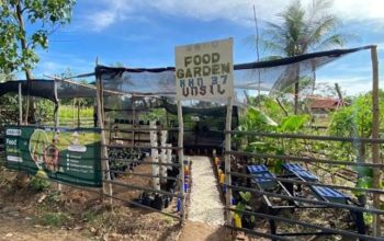 Food Garden, Inovasi Mahasiswa KKN 37 UNSIL untuk Ketahanan Pangan Desa Cipatujah
