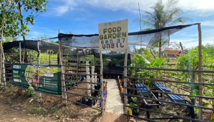 Food Garden, Inovasi Mahasiswa KKN 37 UNSIL untuk Ketahanan Pangan Desa Cipatujah