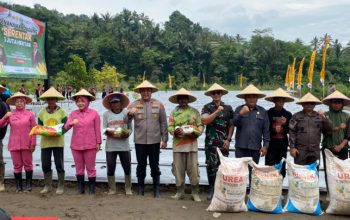 Dukung Ketahanan Pangan, Pemkab Tasikmalaya dan Forkopimda Gelar Penanaman Jagung Serentak