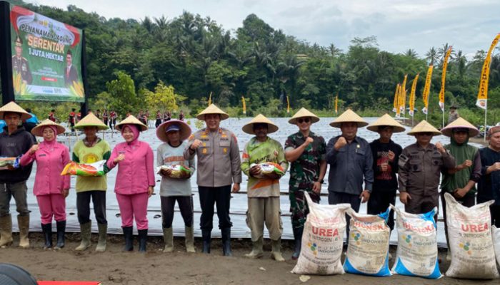 Dukung Ketahanan Pangan, Pemkab Tasikmalaya dan Forkopimda Gelar Penanaman Jagung Serentak