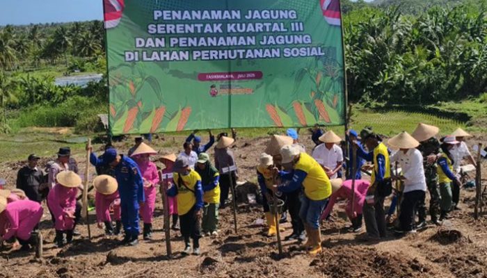 Polres Tasikmalaya Tanam 30 Hektare Jagung, Dorong Swasembada Pangan Nasional 2025