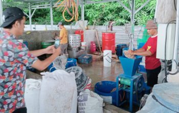 Ayam Tiren 100 Kilogram Sehari? DPRD Sidak Rumah Potong