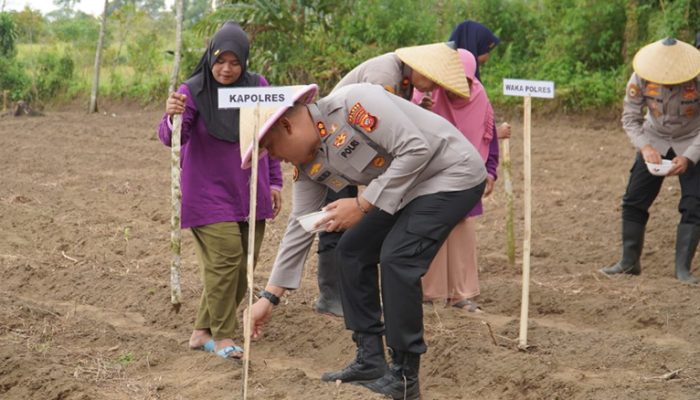 Polres Tasikmalaya Turun ke Sawah, Dorong Lahan Tidur Jadi Produktif