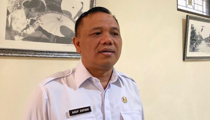 Pemkab Tasikmalaya Desak Pusat Tangani Pohon Berisiko di Jalur Nasional