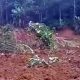 Tanah Longsor Satu Hektare di Cisayong, Warga Diminta Tetap Waspada
