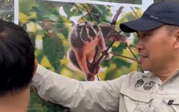 Kampanye Konservasi Nongki Sawarga Hidupkan Wawasan Lingkungan di Stadion Dadaha