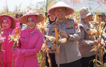 Panen Raya Jagung di Tasikmalaya Capai 117 Ton, Polres Dukung Program Ketahanan Pangan Nasional