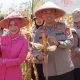 Panen Raya Jagung di Tasikmalaya Capai 117 Ton, Polres Dukung Program Ketahanan Pangan Nasional