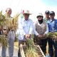 Dorong Pertanian Sehat di Kabupaten Tasikmalaya, Wabup Asep Sopari Turun Langsung ke Sawah