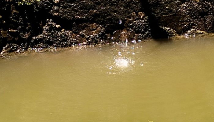 Sungai Ciwulan Diduga Tercemar Mikroplastik, Aktivis Ingatkan Ancaman Krisis Air di Tasikmalaya