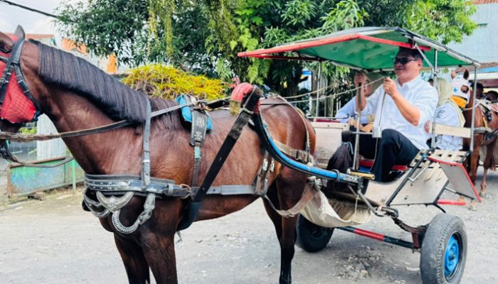 Tinggalkan Mobil Dinas, ASN Disnaker Kota Tasikmalaya Pilih Delman Hadiri Undangan