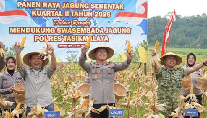 Kapolres Tasikmalaya Pimpin Panen Raya Jagung 171 Ton, Sinergi Polisi-TNI Dongkrak Ketahanan Pangan