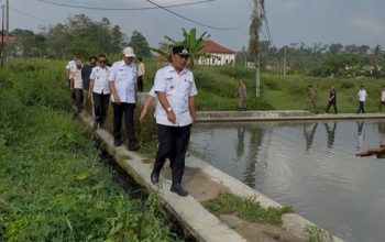 Pemkab Tasikmalaya Benahi Aset Daerah, Sawah di Bojongkoneng Disiapkan Jadi Lahan Benih