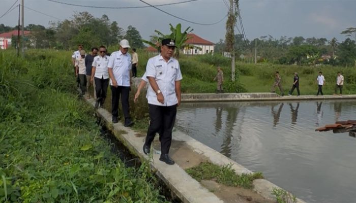 Pemkab Tasikmalaya Benahi Aset Daerah, Sawah di Bojongkoneng Disiapkan Jadi Lahan Benih