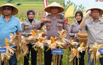 Dukung Ketahanan Pangan, Satreskrim Polres Tasikmalaya Pantau Pertumbuhan Jagung di Desa Janggala
